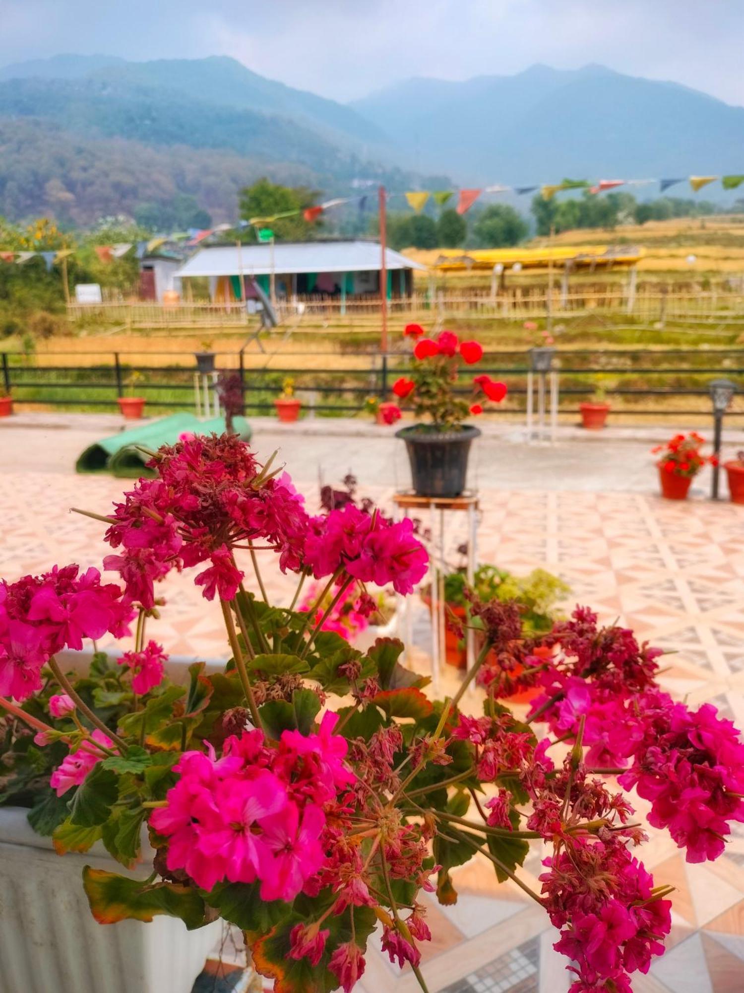 Raahi Stay, Landing Site Bir - Stay & Cafe מראה חיצוני תמונה